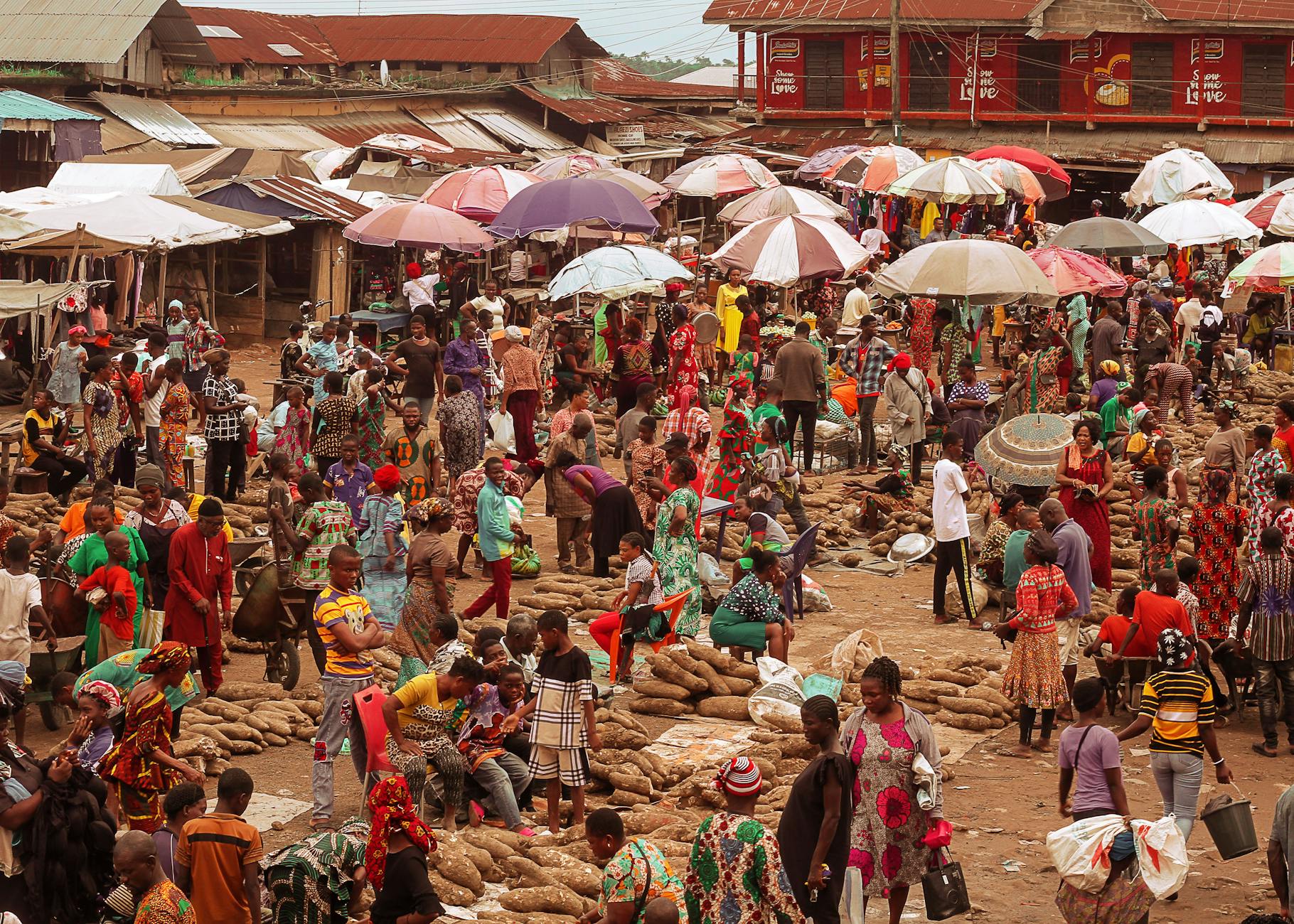 Jungle Umbeon's Market Demand and Grade Sensitivity