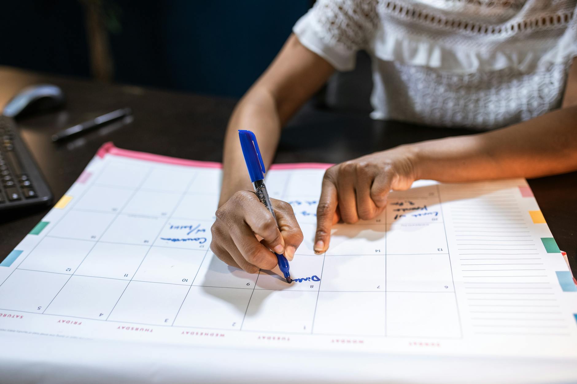 New Release Schedules and the Constant Search Cycle