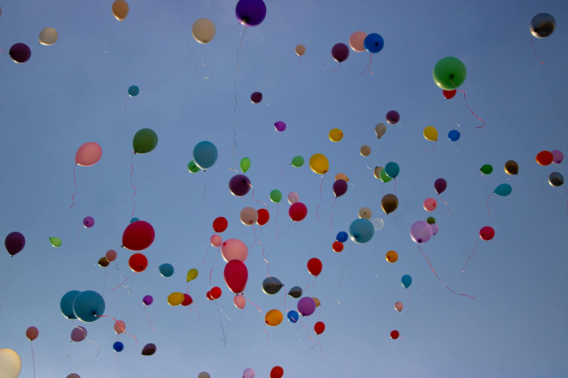 Product Format Diversity During the Release Blitz