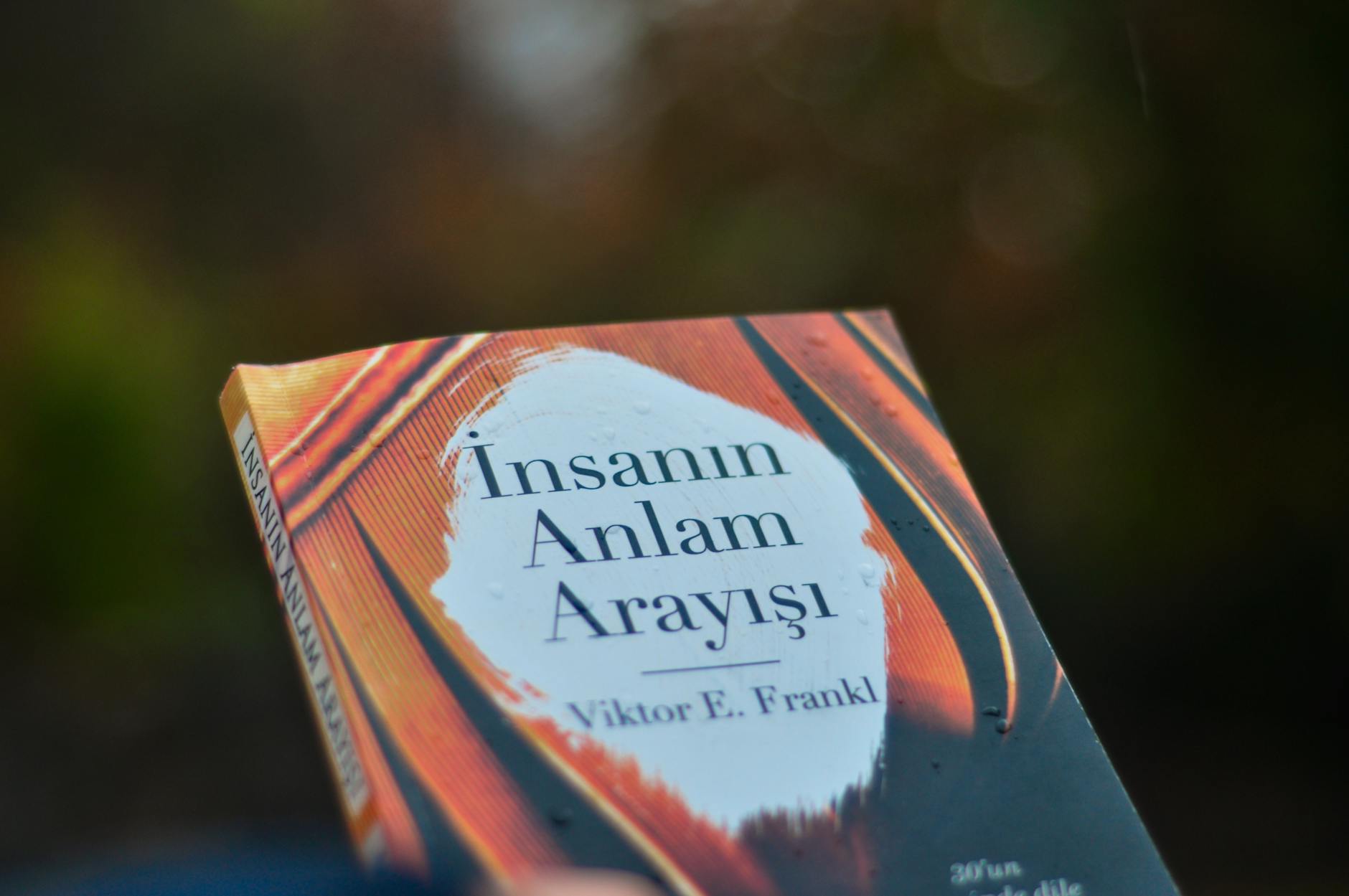 The 1st Edition Premium and What It Means for Your Collection