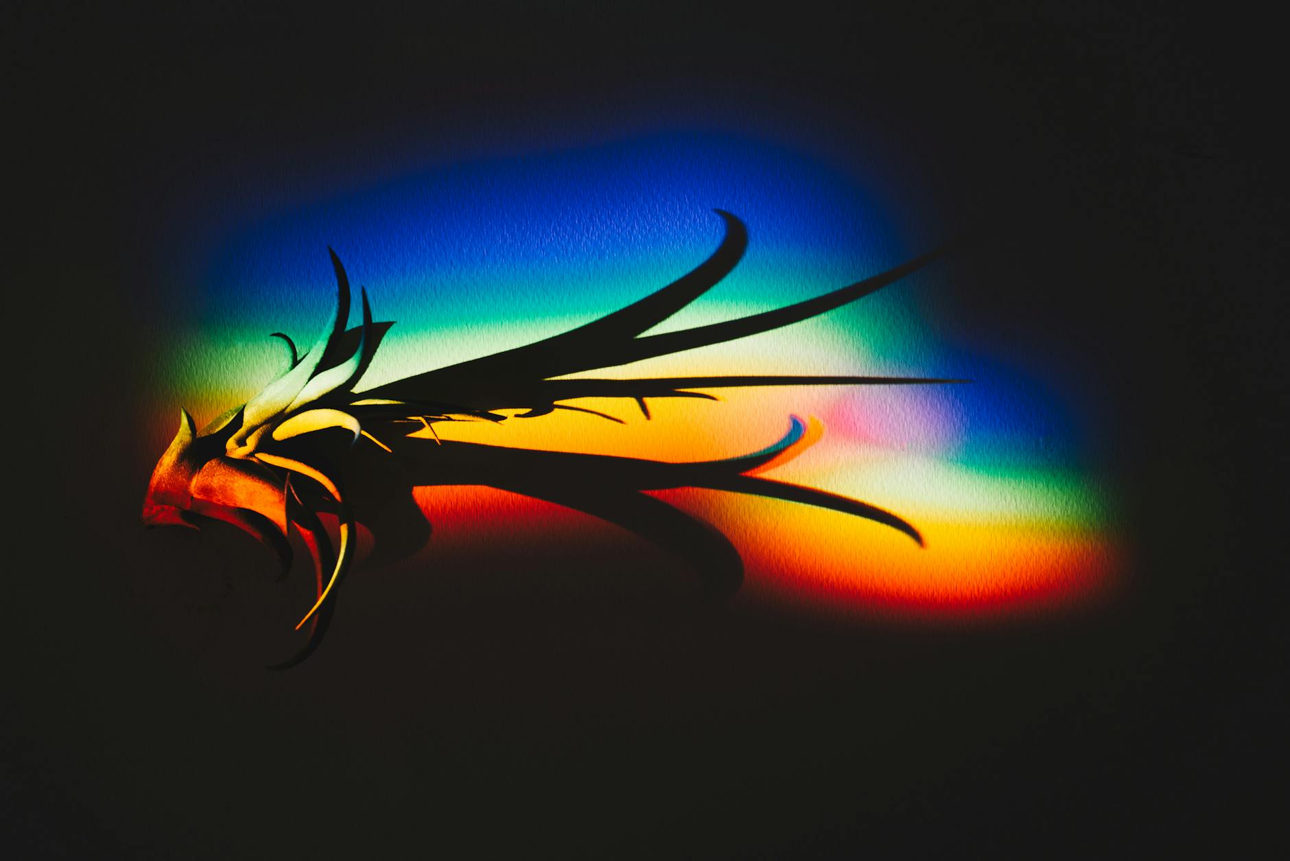 The 26 Brand-New Mega Evolutions and Their Strategic Roles