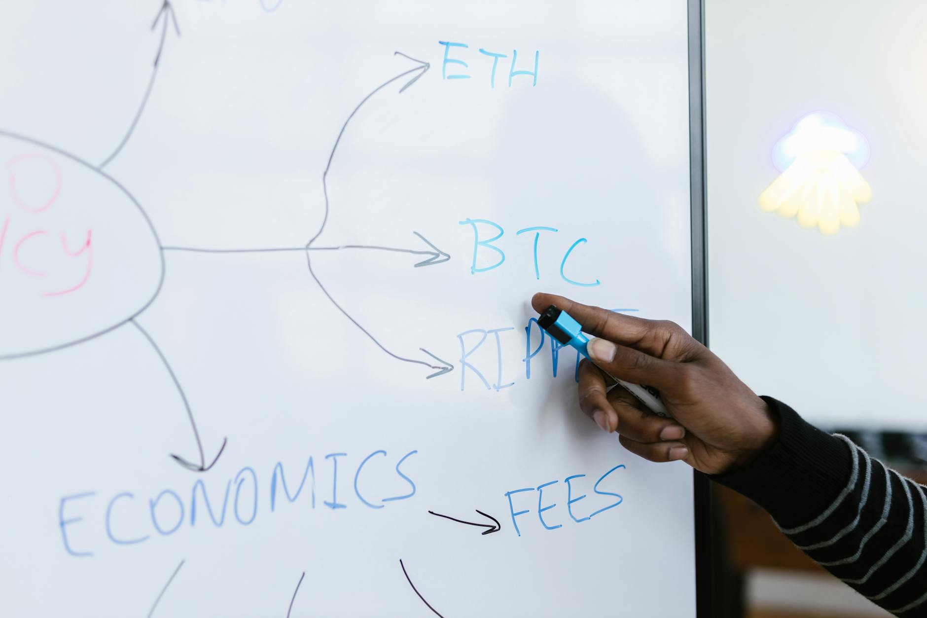 The Full Fee Structure for Crossovers—No Refunds or Exceptions