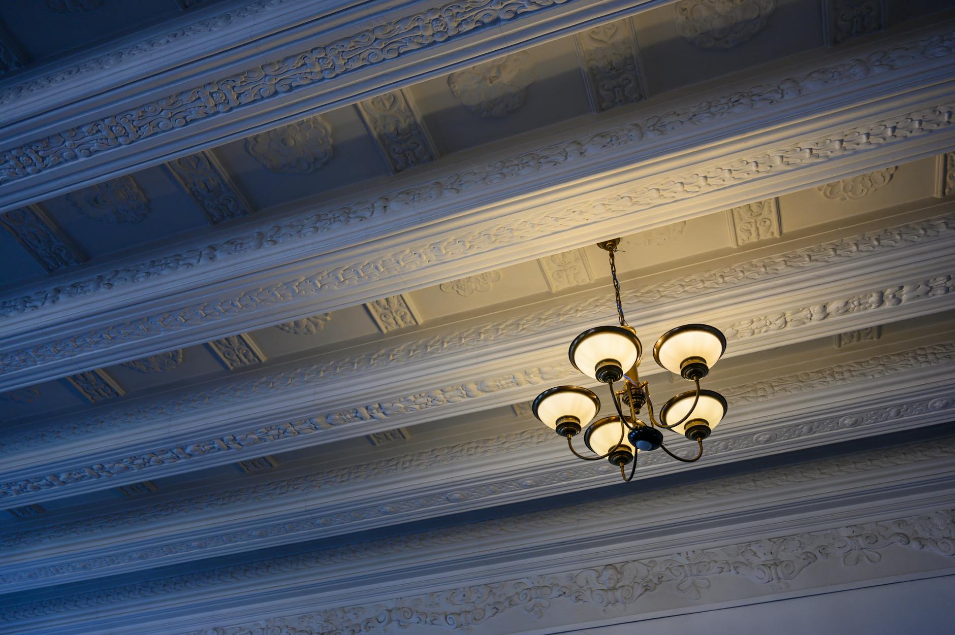 THE PRICE CEILING AND WHAT IT REVEALS