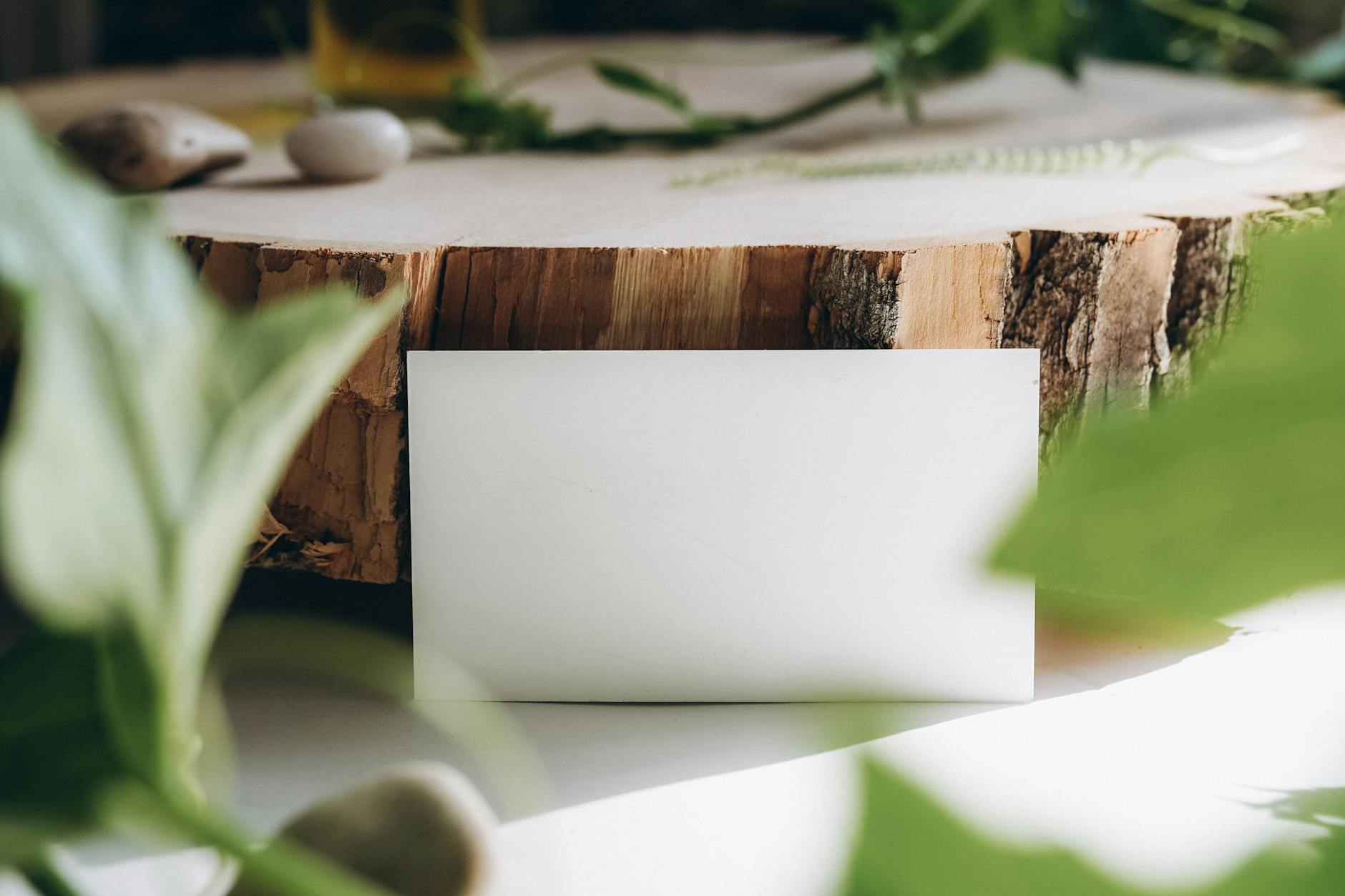 The Sustainability Risk: When Nostalgia Markets Cool