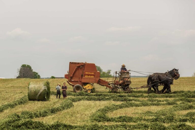 What Happens to the Value of a EX Pikachu if It Fails Crossover? - Featured image