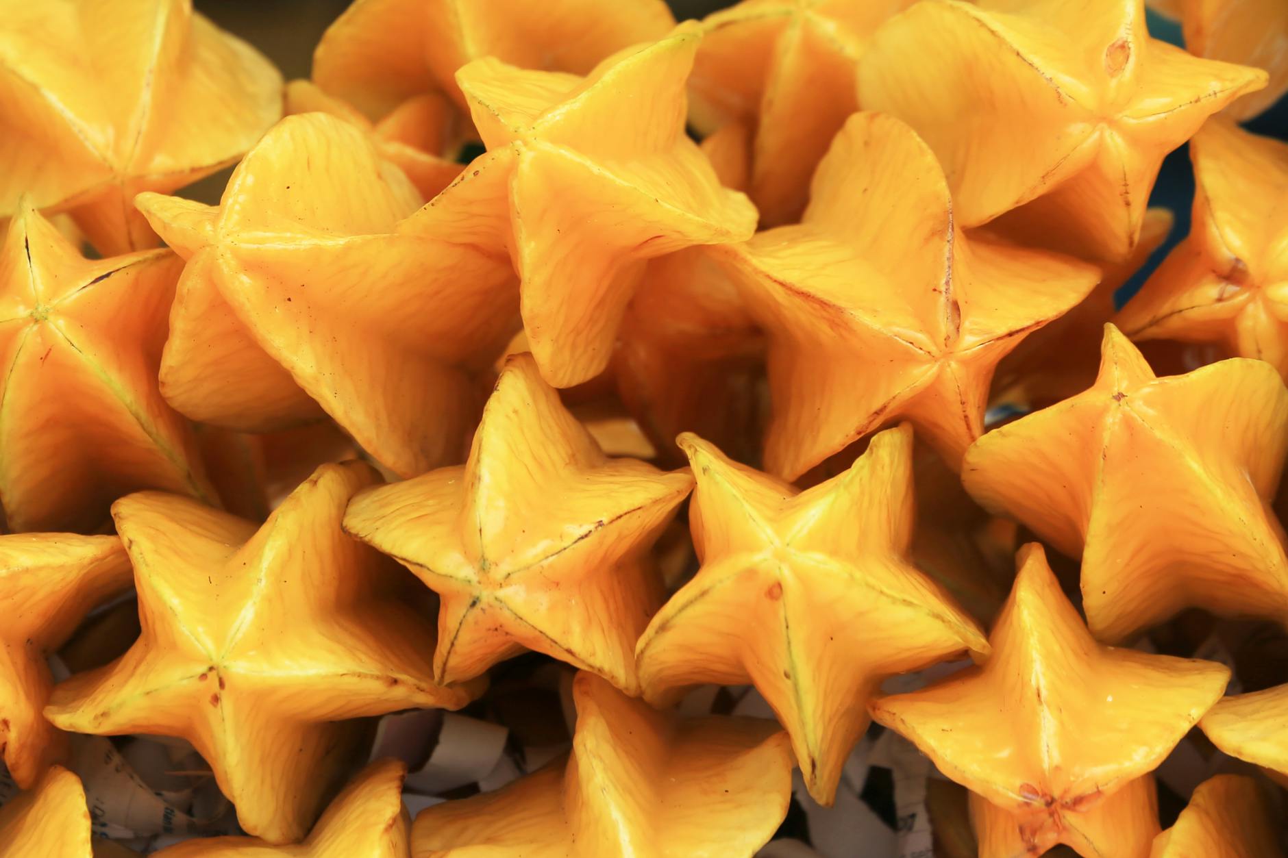 What Is Driving the Gold Star Market Upward?