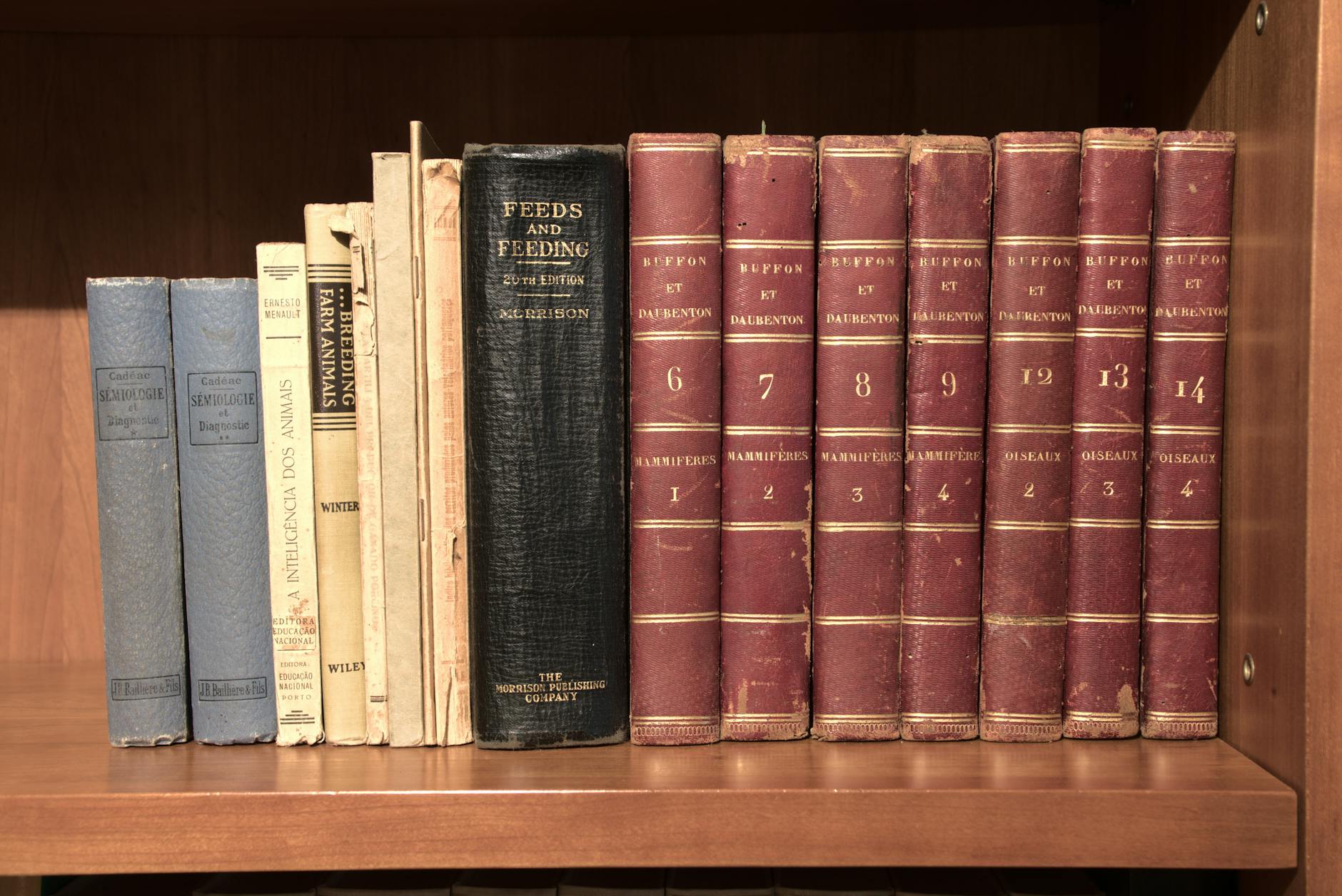 Why 1st Edition Sales Don't Tell the Unlimited Story