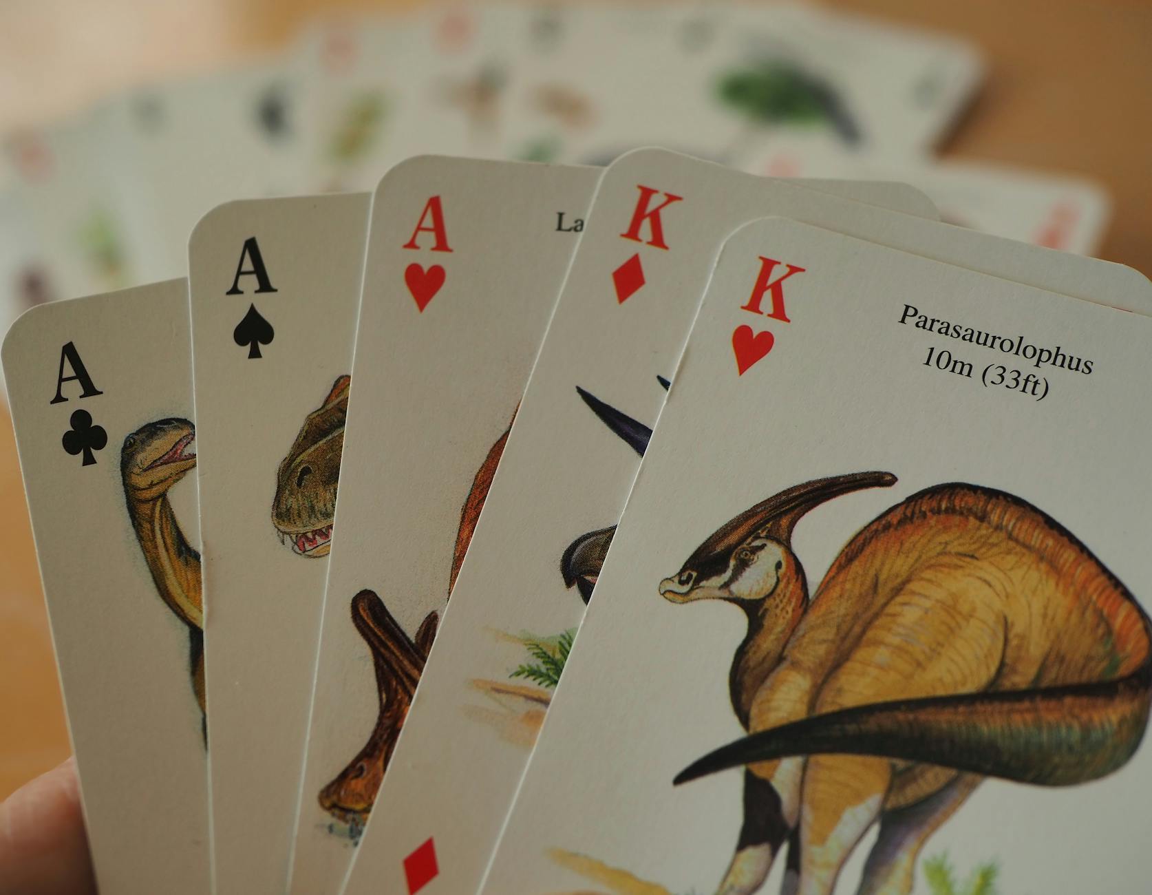 Why Does Card History Matter to Collectors?