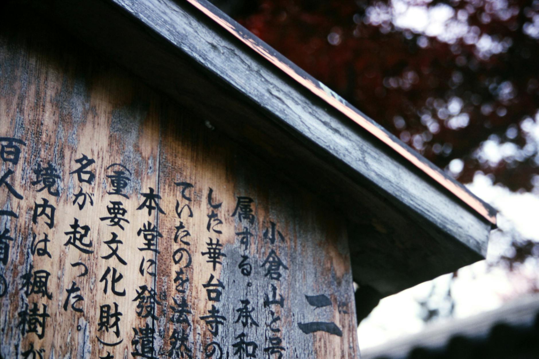 Why Japanese Holos Tell a Different Story Than English Cards