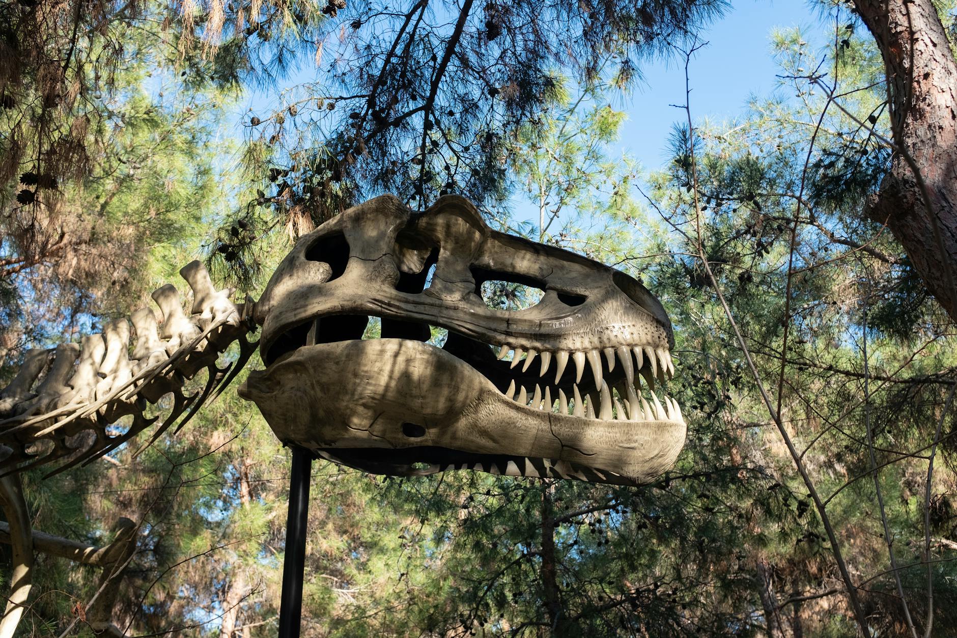 Why the Pokémon Fossil Museum Could Be a Sleeper Travel Story - Featured image