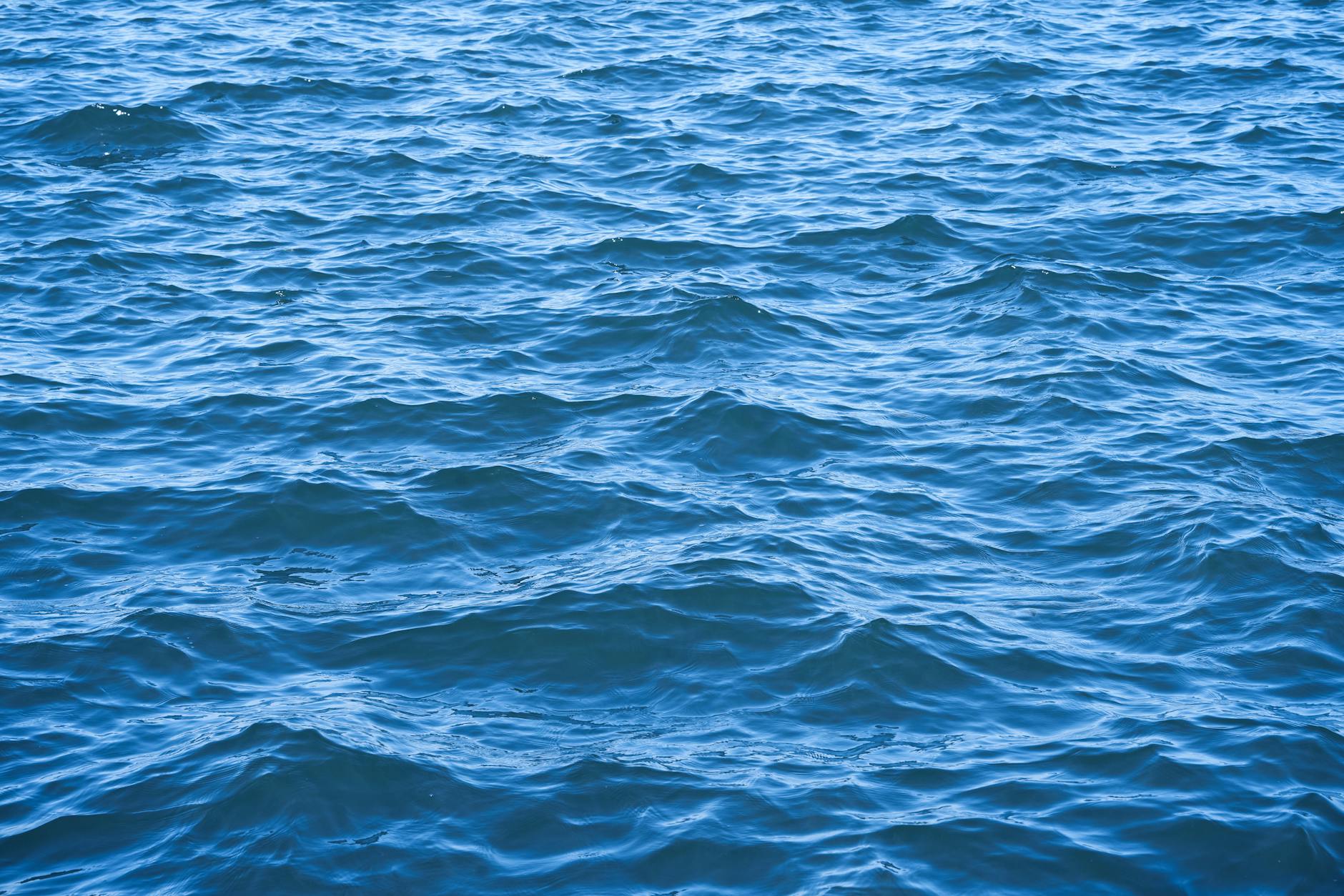 Are Base Set Water Energy Cards Still Undervalued Since 2020? - Featured image