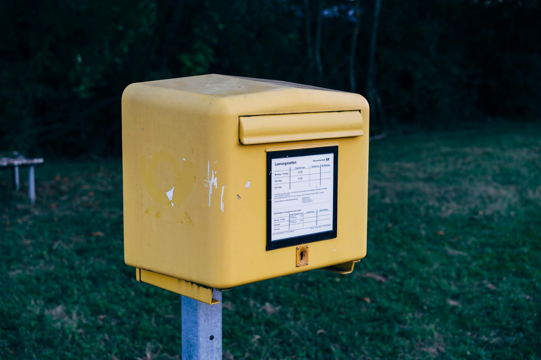 Grading and Authentication in the Post-2020 Market