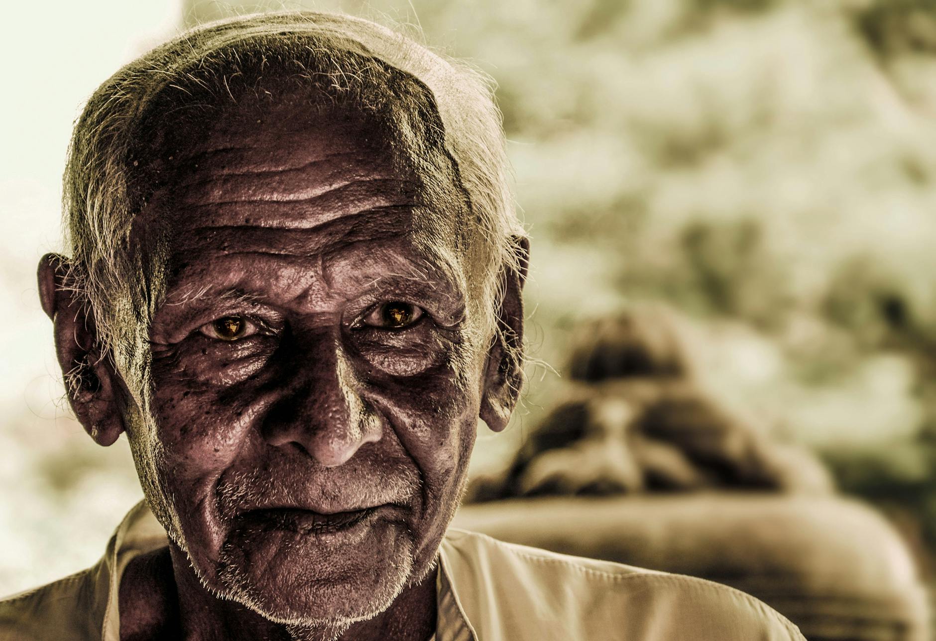How Demographic Maturity Reshapes Collector Demand