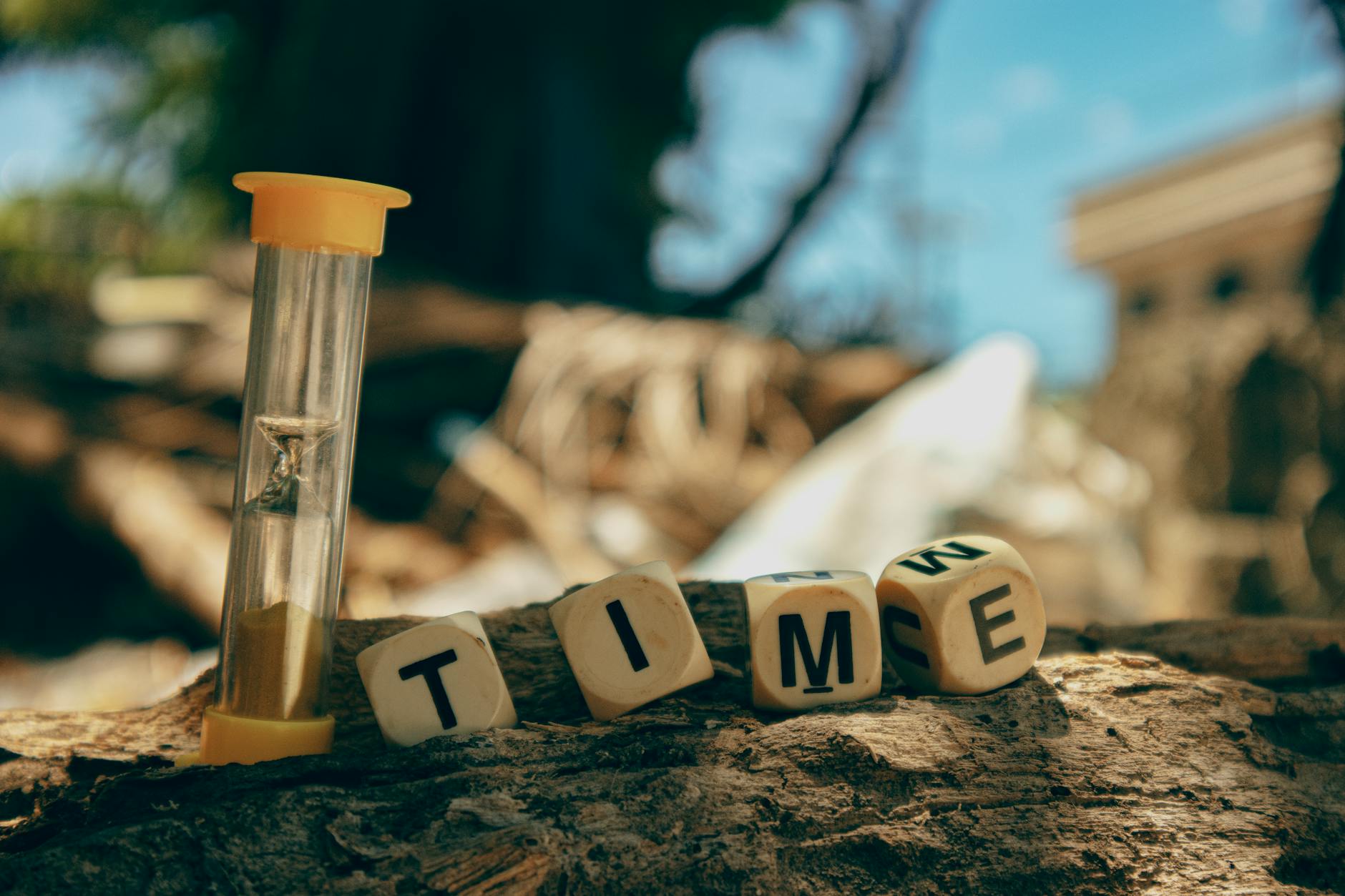 Investment Potential and Long-Term Appreciation