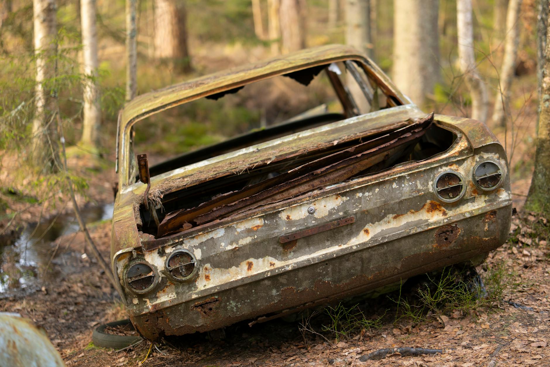 Modern Errors versus Vintage: Understanding the Market Tier