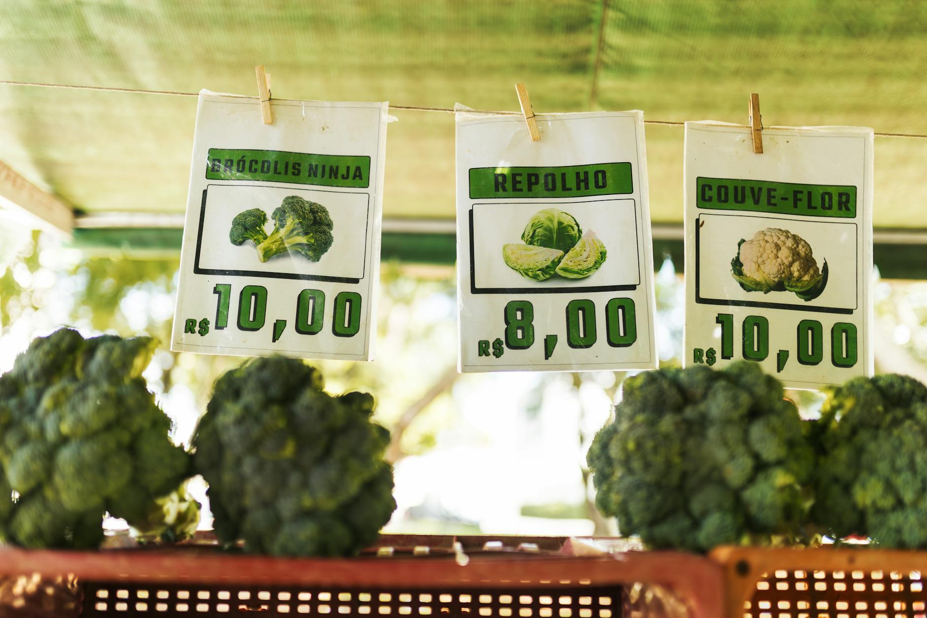Regional Price Variations and Market Arbitrage Opportunities