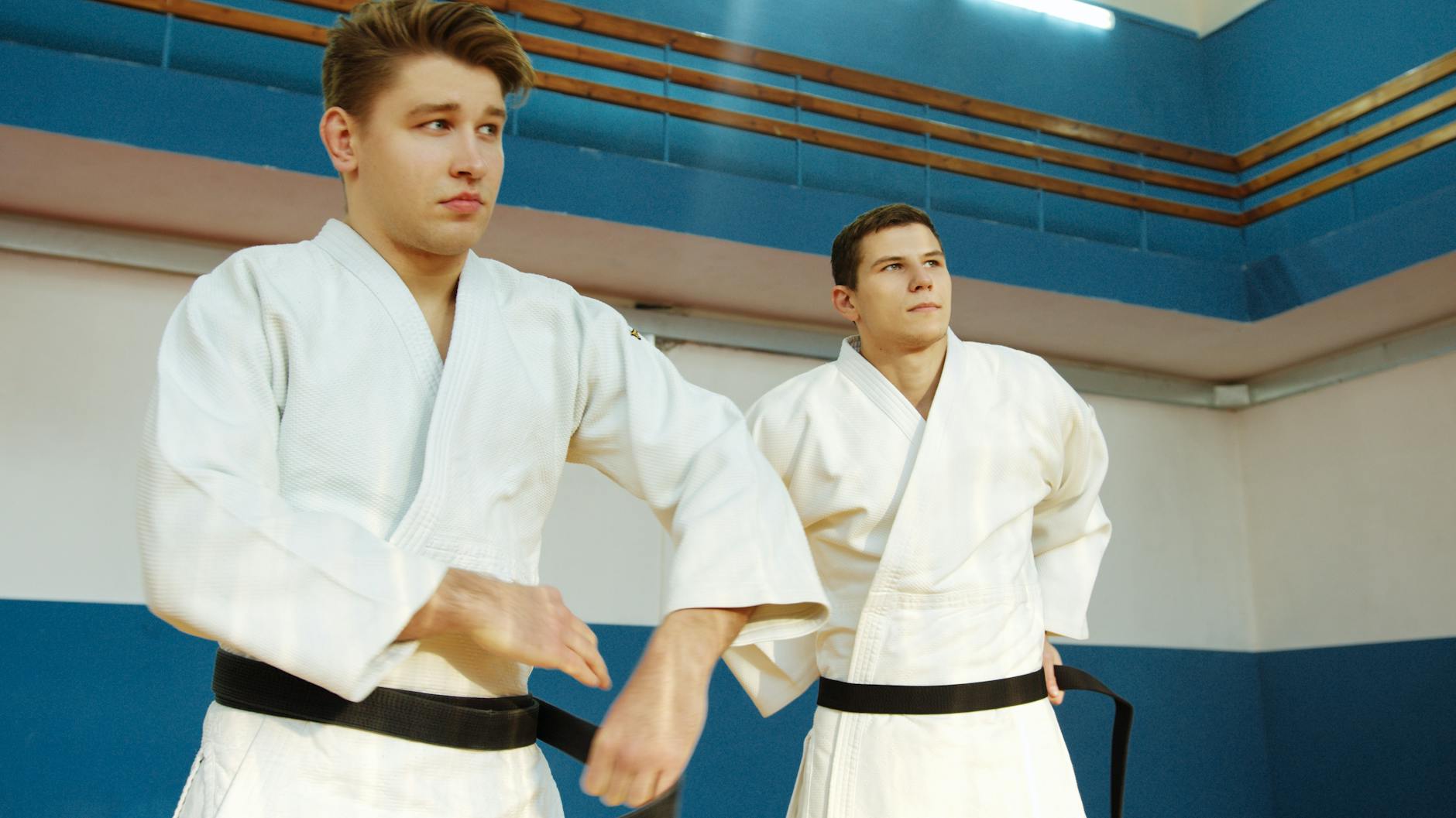 WHY CONDITION AND GRADING HAVE BECOME THE PRICE MULTIPLIERS