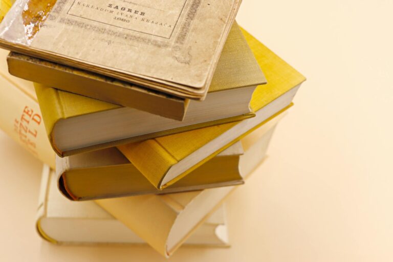 Why First Edition Charmander Could Become a Long-Term Collector Favorite - Featured image