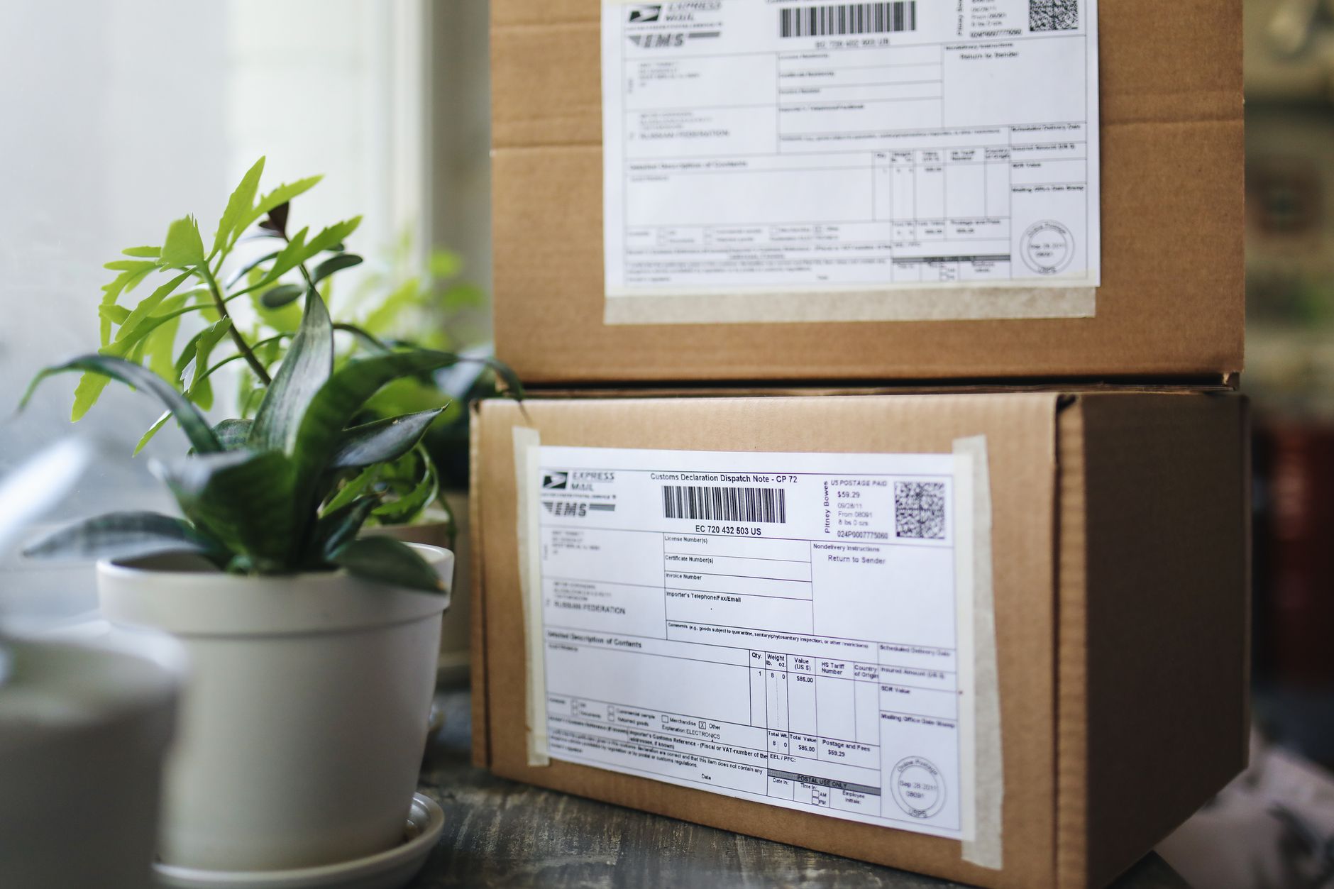 Shipping Labels and Pokemon Slab Chain of Custody: Records Worth Keeping - Featured image
